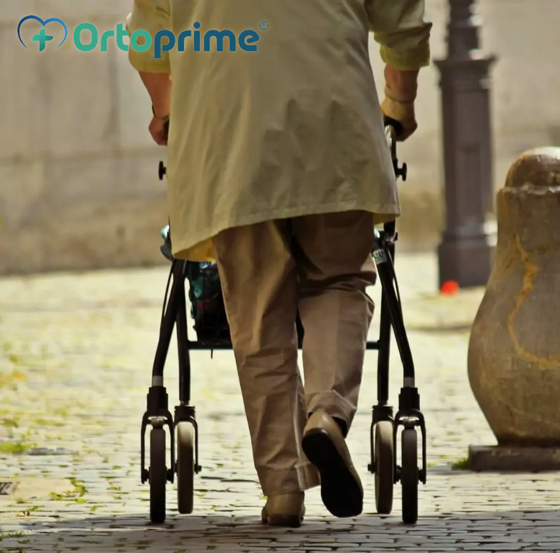 Andador con Silla de Ruedas Plegable con Cesta Innovation - Image 4
