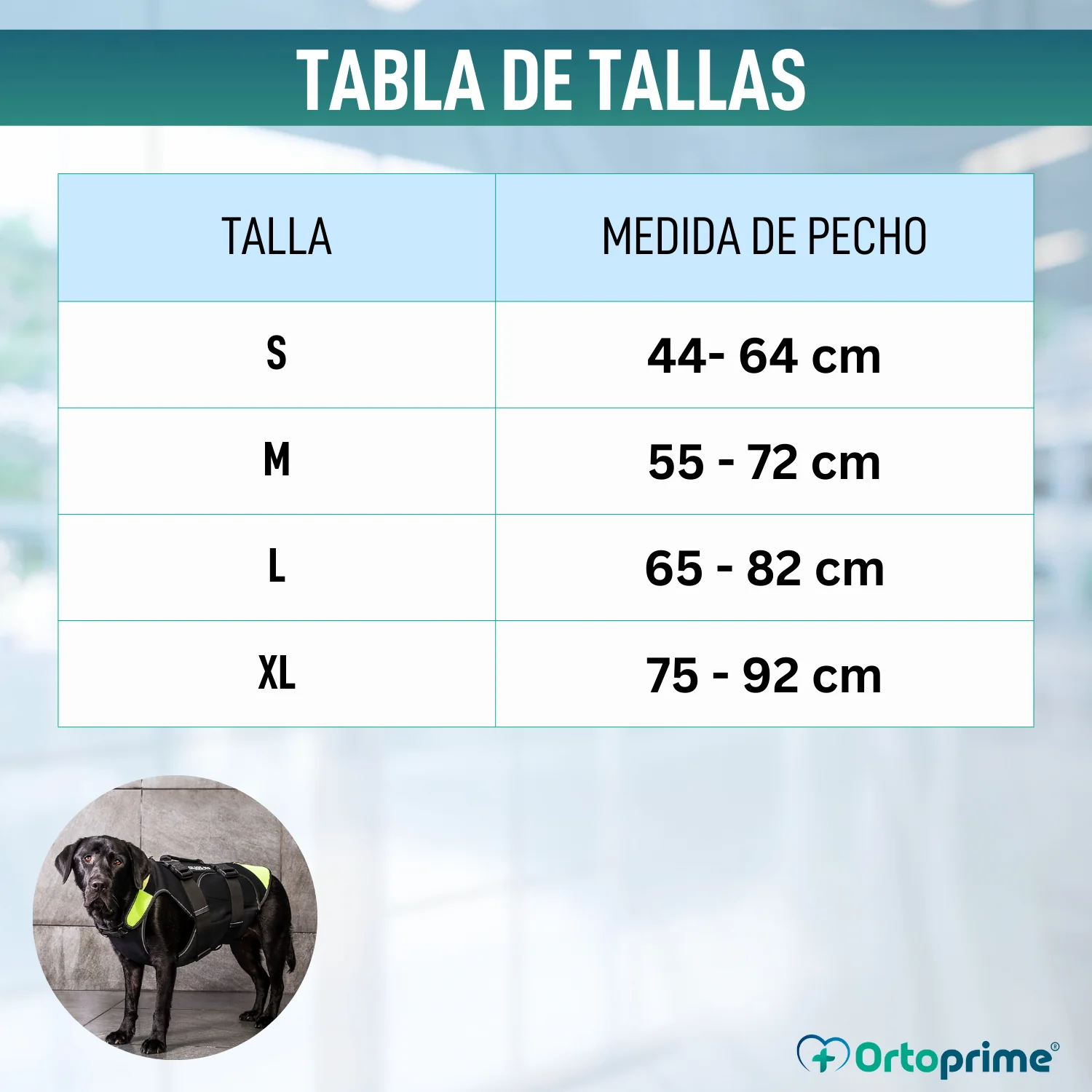 Arnés Multifuncional Canino 3 en 1 de Neopreno | 4 Tallas - Image 2