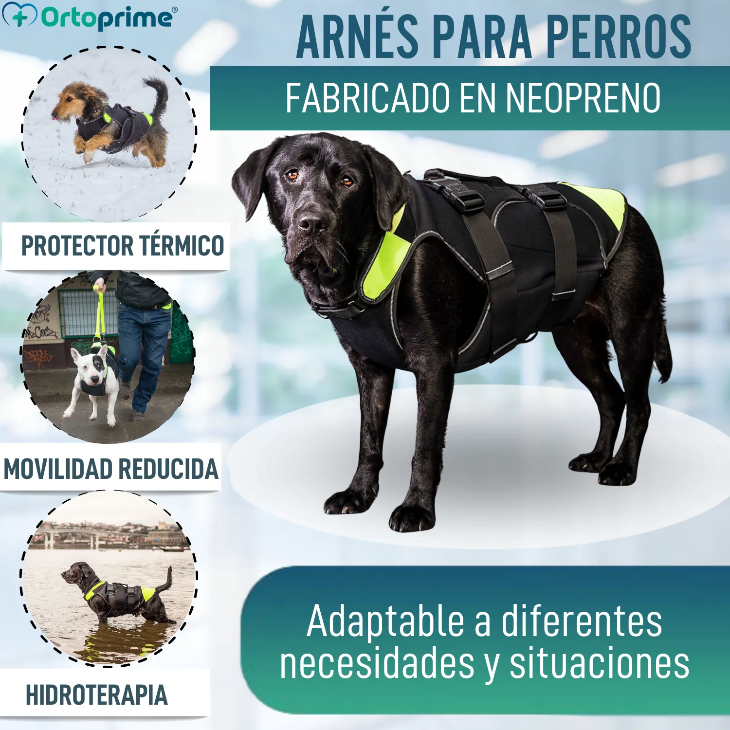 Arnés Multifuncional Canino 3 en 1 de Neopreno | 4 Tallas - Image 3