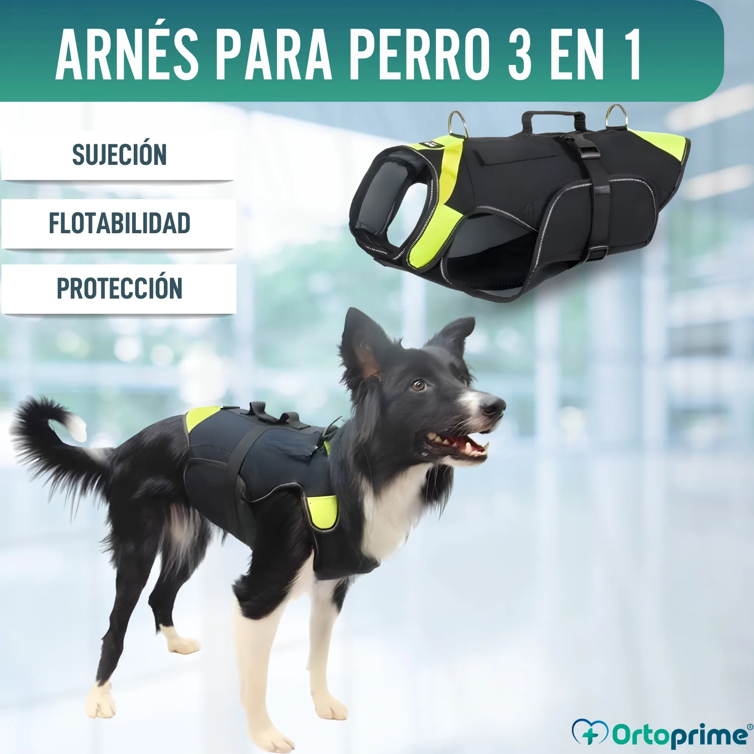 Arnés Multifuncional Canino 3 en 1 de Neopreno | 4 Tallas - Image 5