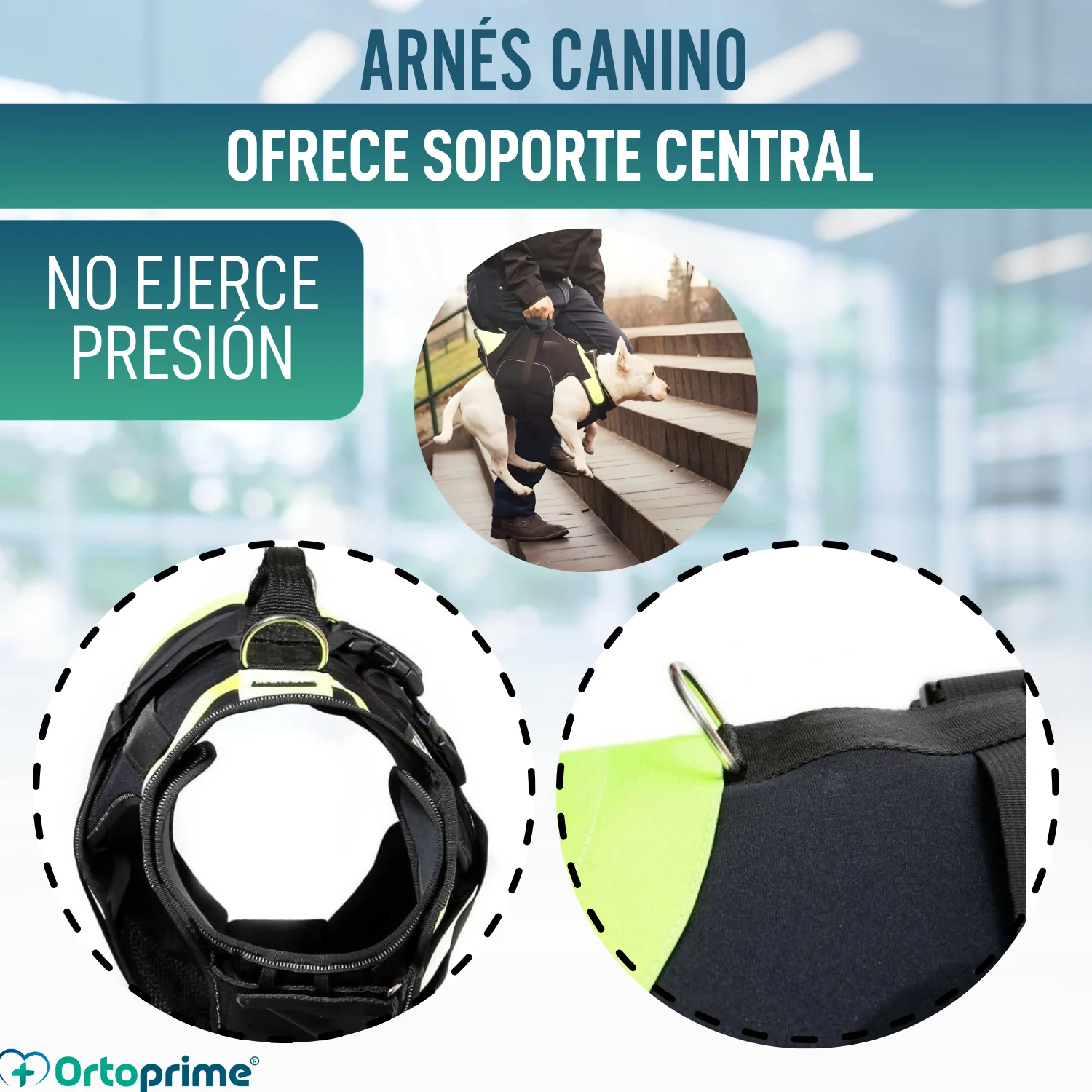 Arnés Multifuncional Canino 3 en 1 de Neopreno | 4 Tallas - Image 7