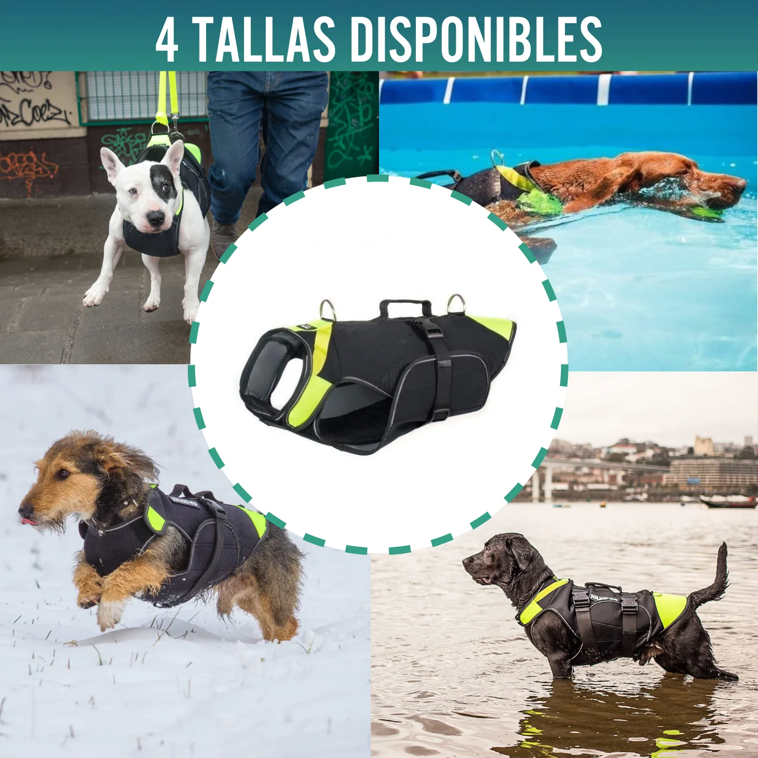 Arnés Multifuncional Canino 3 en 1 de Neopreno | 4 Tallas - Image 8
