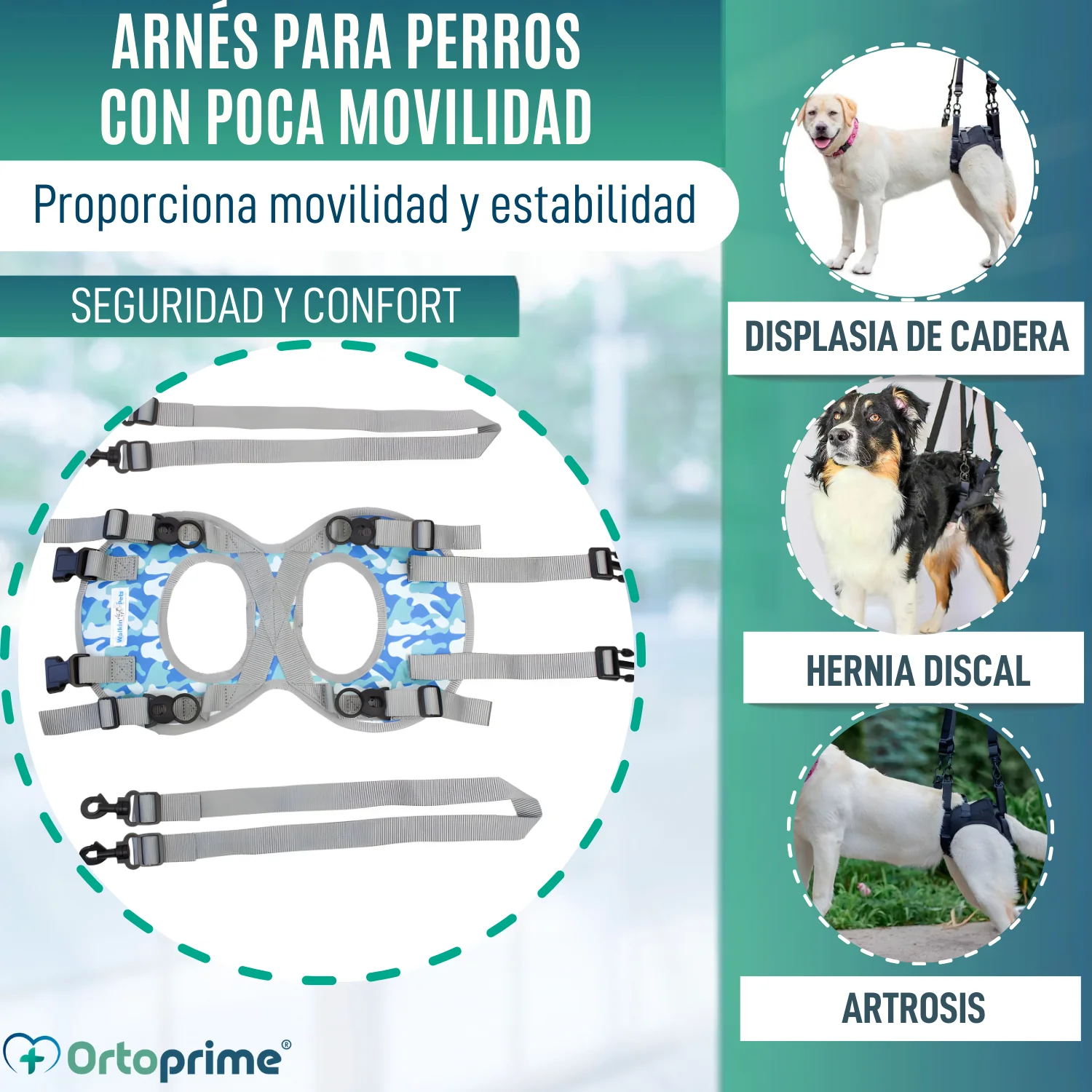 Arnés para Perros con Movilidad Reducida en Patas Traseras - Image 3