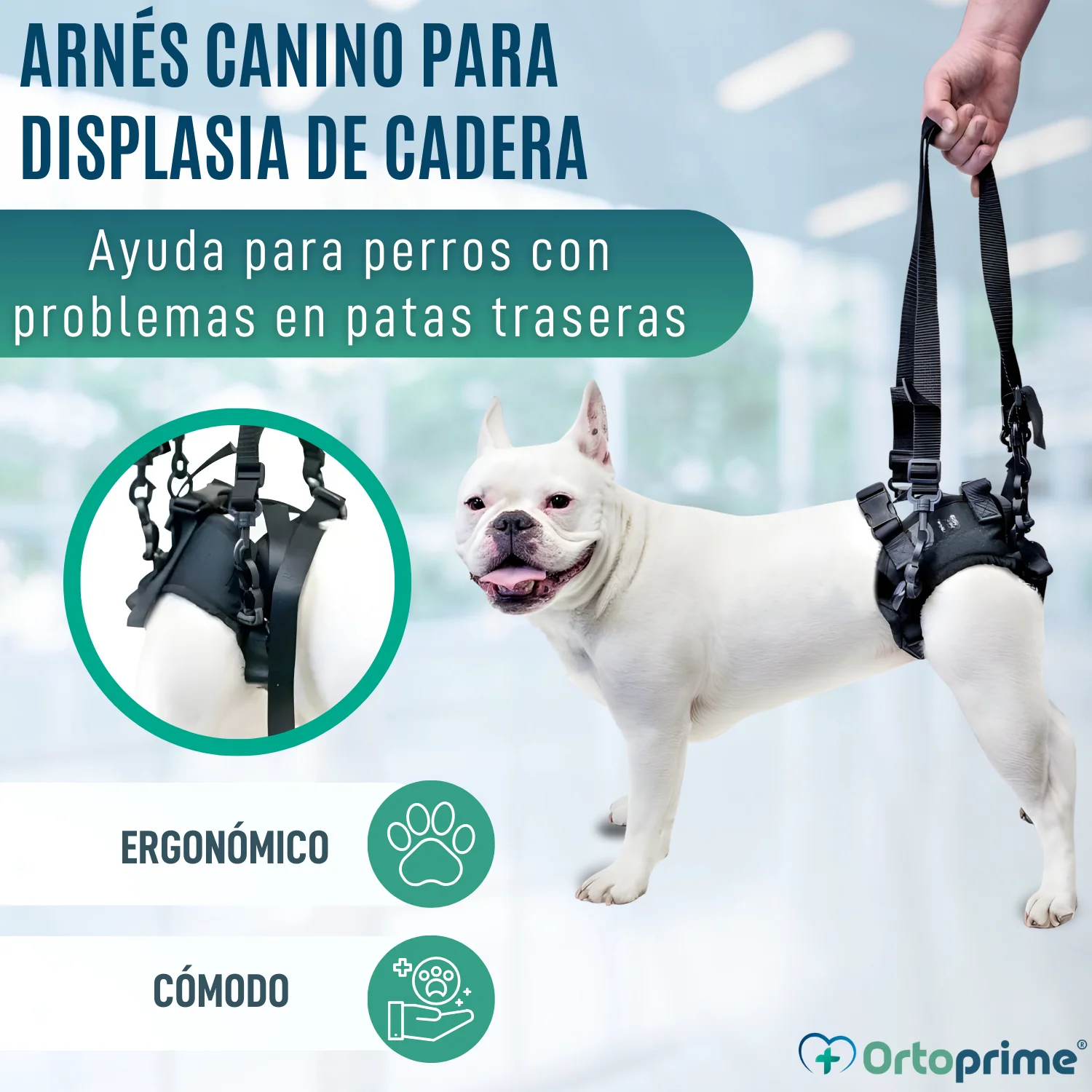 Arnés para Perros con Movilidad Reducida en Patas Traseras - Image 5
