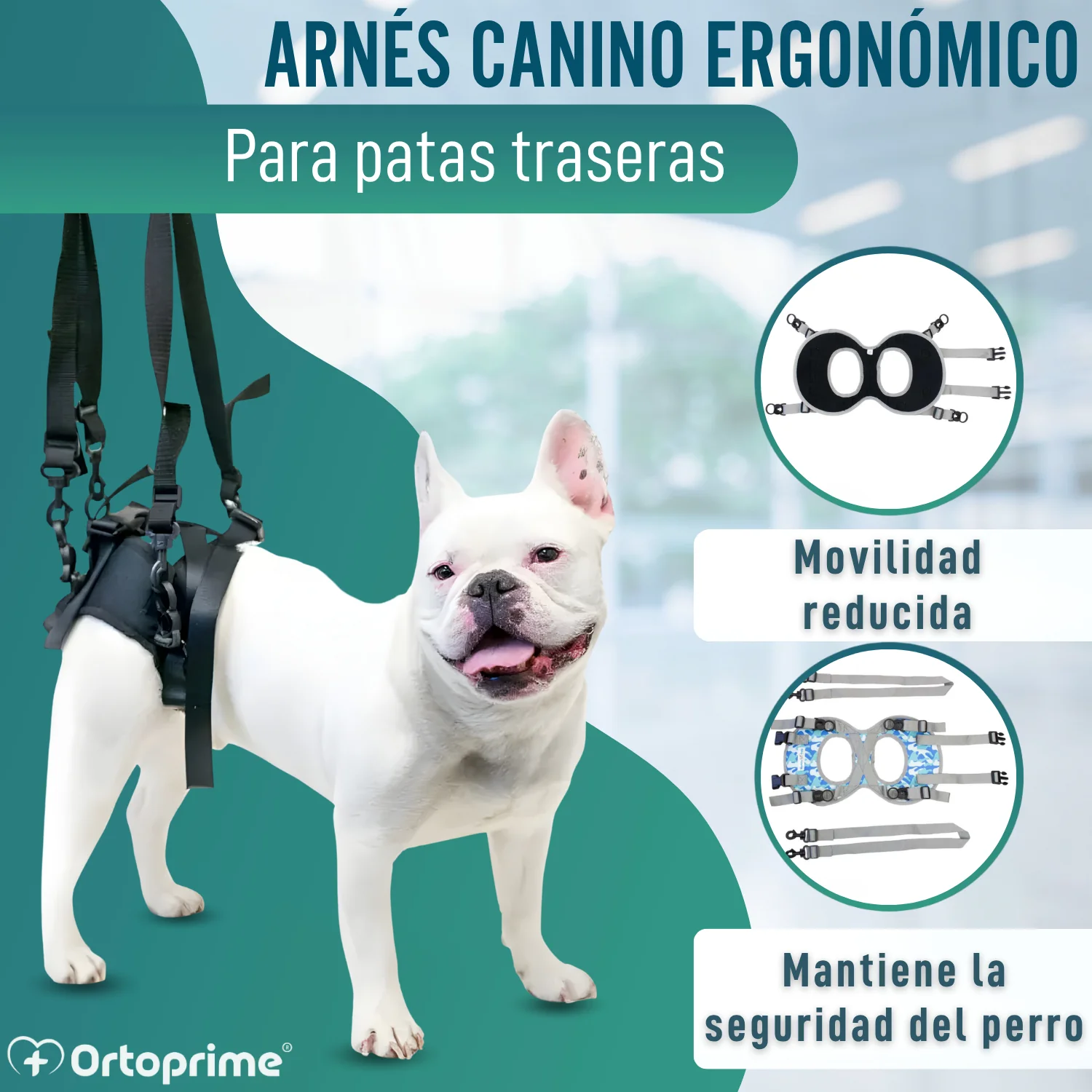 Arnés para Perros con Movilidad Reducida en Patas Traseras - Image 6