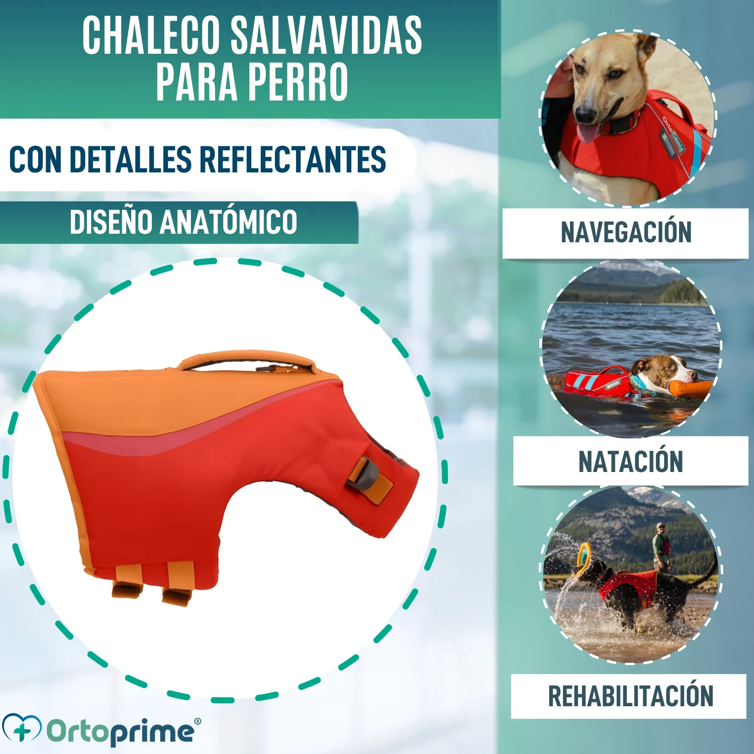 Chaleco Salvavidas Perro Múltiple Uso | Seguridad Acuática - Image 3