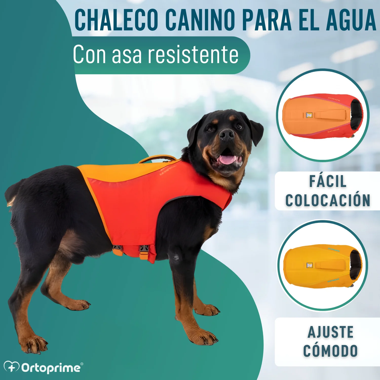 Chaleco Salvavidas Perro Múltiple Uso | Seguridad Acuática - Image 4