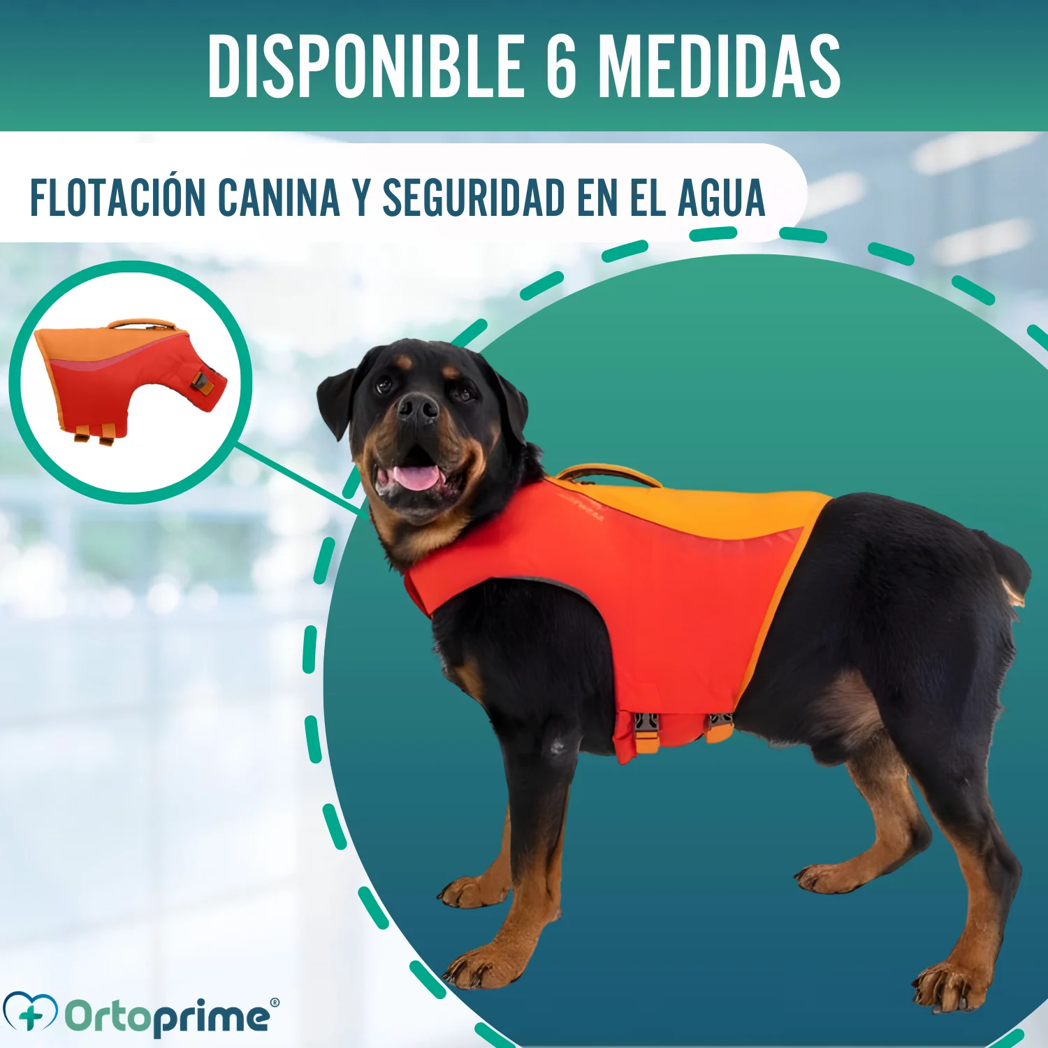 Chaleco Salvavidas Perro Múltiple Uso | Seguridad Acuática - Image 6