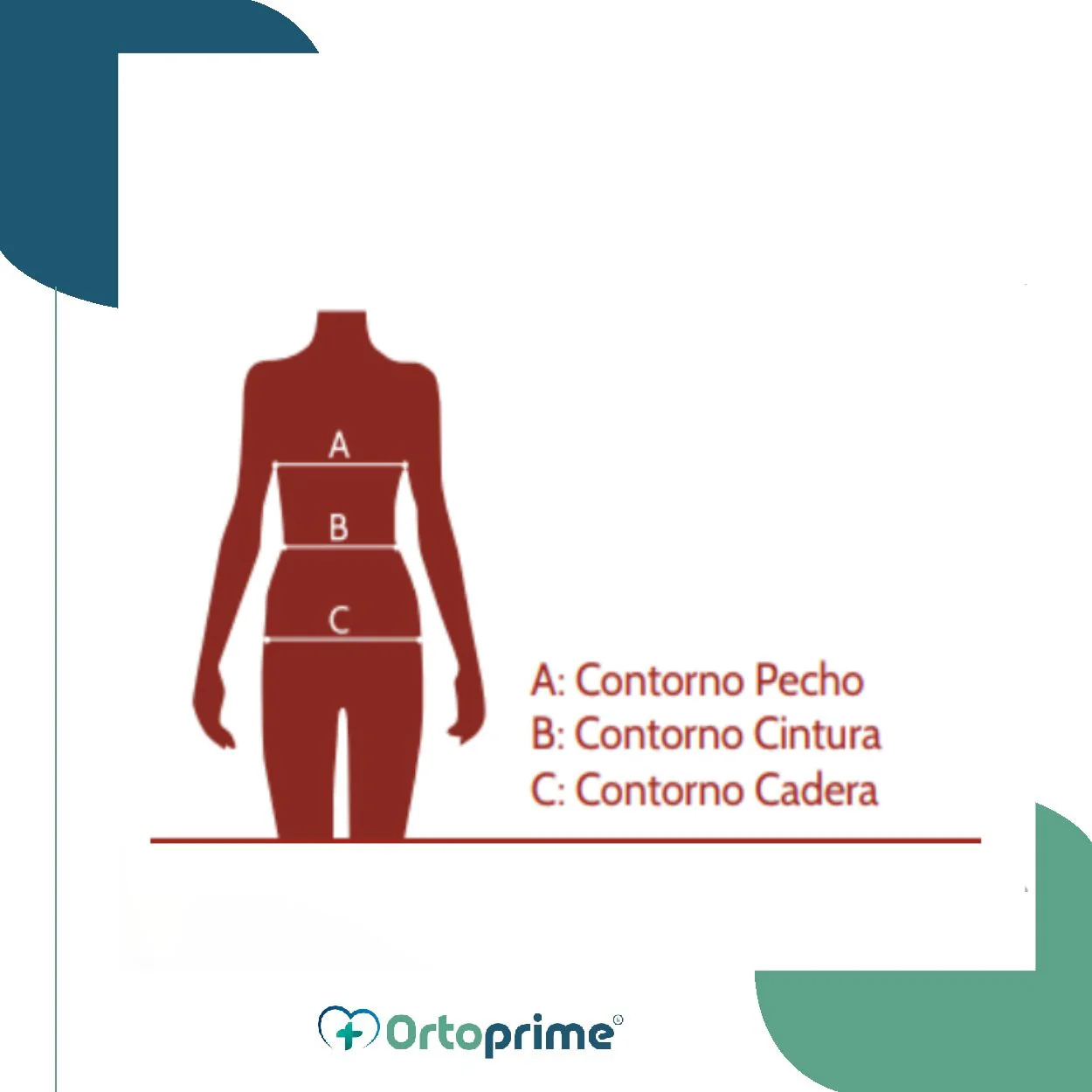 Chaqueta de Cremallera y Cuello con Solapa Manga Larga - Image 5