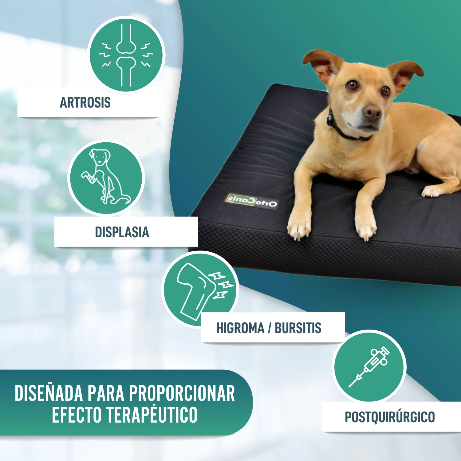Colchón para Perros Viscoelástico con Funda | 4 Tallas - Image 4