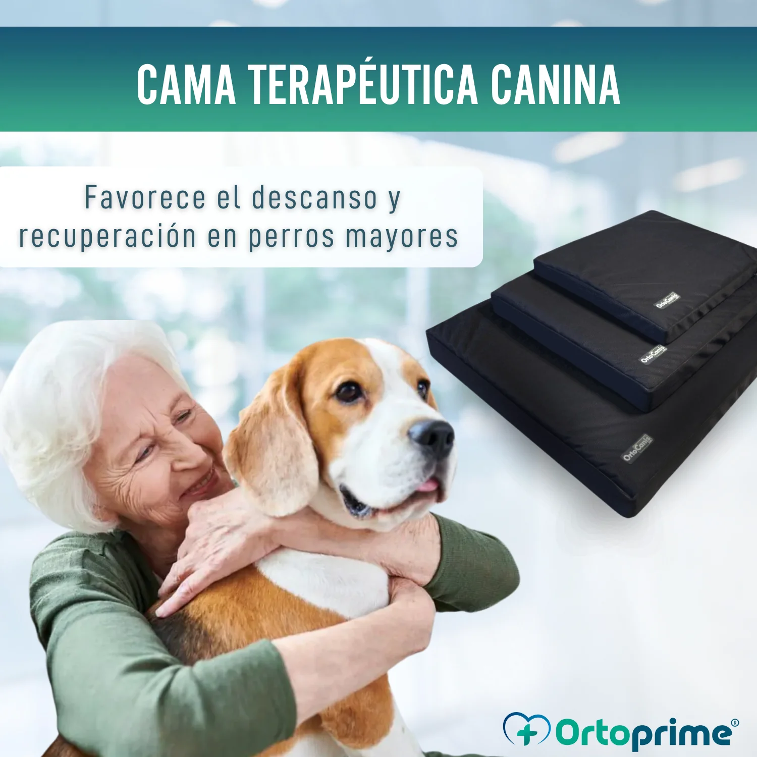 Colchón para Perros Viscoelástico con Funda | 4 Tallas - Image 5