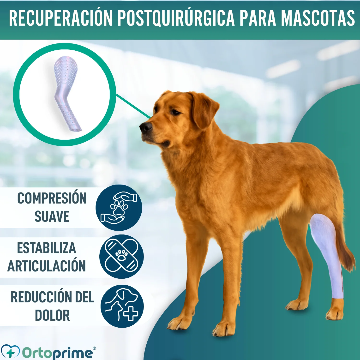 Férula Rápida para Extremidades de Perros y Gatos | 3 Tallas - Image 4
