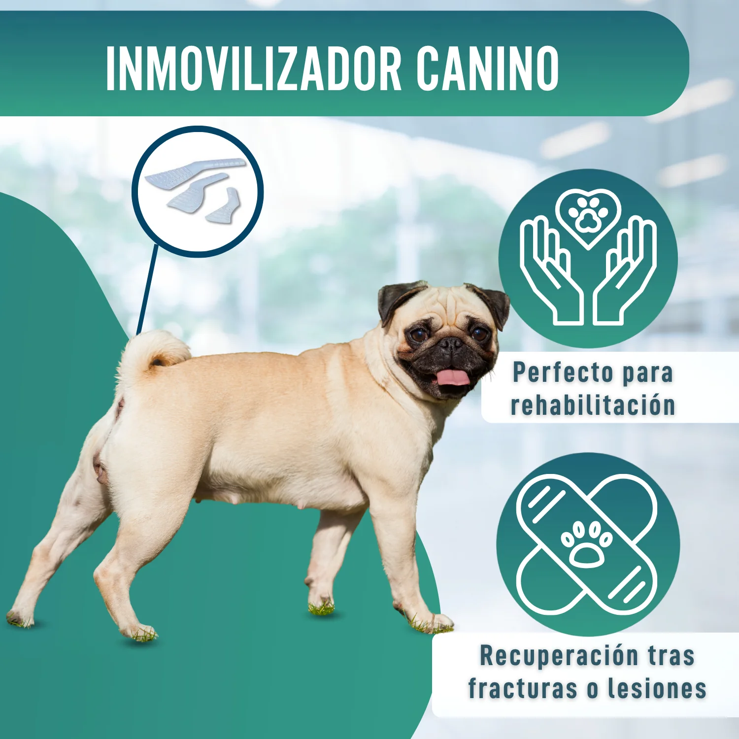Férula Rápida para Extremidades de Perros y Gatos | 3 Tallas - Image 6