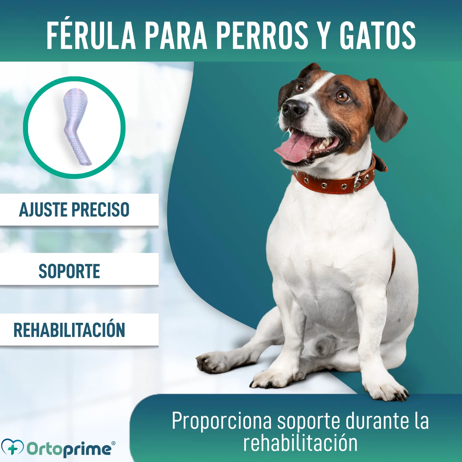 Férula Rápida para Extremidades de Perros y Gatos | 3 Tallas - Image 7