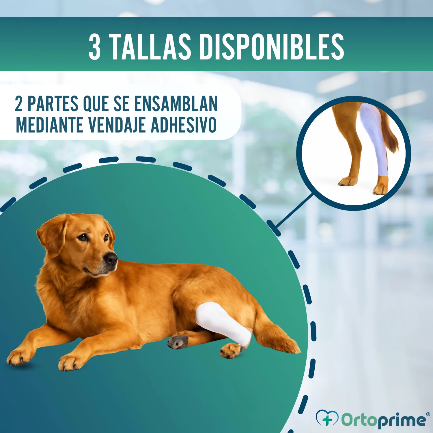 Férula Rápida para Extremidades de Perros y Gatos | 3 Tallas - Image 8