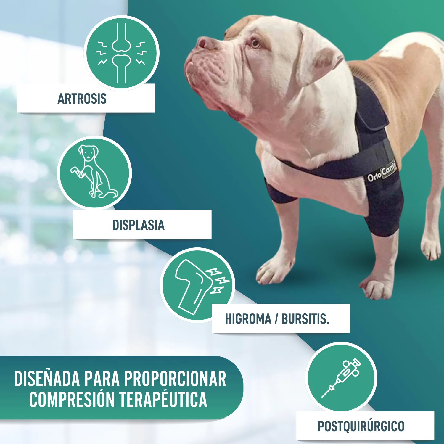 Órtesis de Codo para Perros con Artrosis Rehabilitación Canina - Image 8